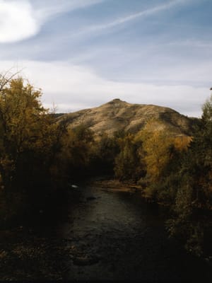 Nature on Phoenix