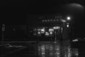 Snowy Night Out