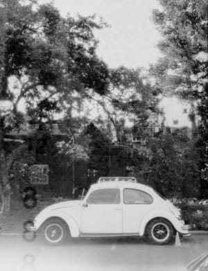 Wet X-Ray Film
