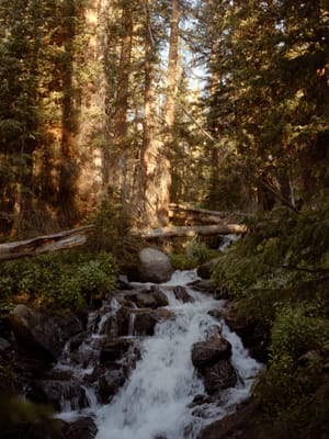 Hassell Lake